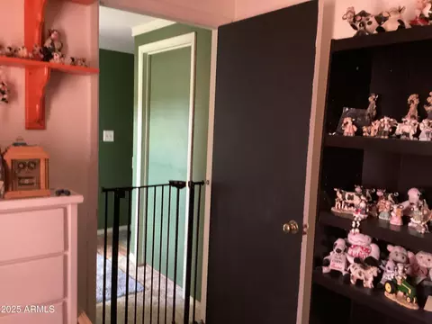 6265 W Copper Bug Rd, Elfrida, AZ 85610 photo 49