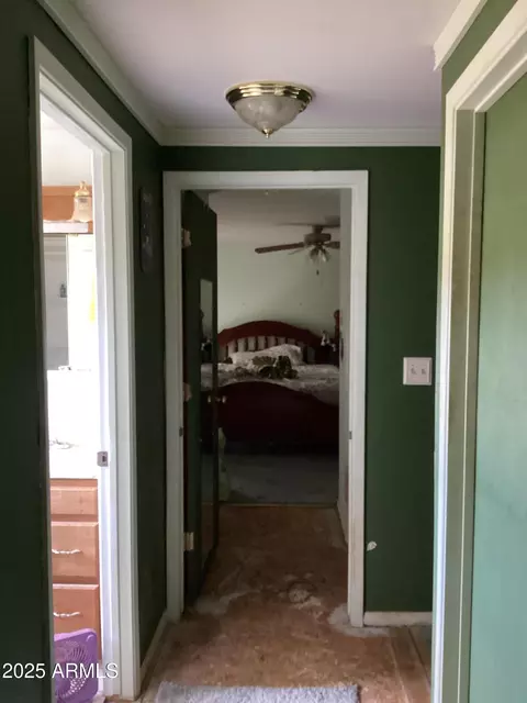 6265 W Copper Bug Rd, Elfrida, AZ 85610 photo 35