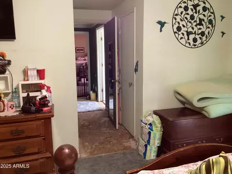 6265 W Copper Bug Rd, Elfrida, AZ 85610 photo 45