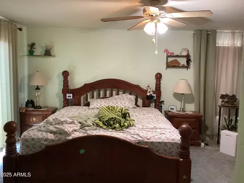 6265 W Copper Bug Rd, Elfrida, AZ 85610 photo 38