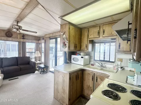 1052 S Quartz Dr #1052, Apache Junction, AZ 85119 photo 11