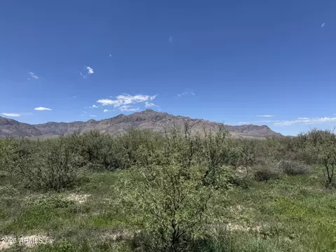 39 W 6 Acres W Paulo Rose Dr #2, Portal, AZ 85632