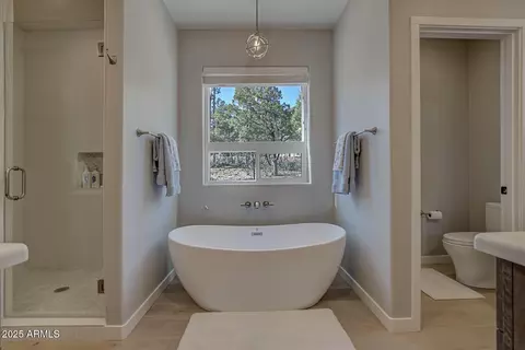 Bath - 4016 W Forest Ct, Pine, AZ 85544 photo 2 of 6