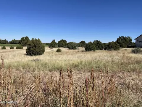 1951 Creekside Cir #77, Show Low, AZ 85901