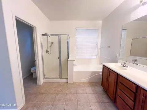 Bath - 1812 E Beautiful Ln, Phoenix, AZ 85042 photo 3 of 4