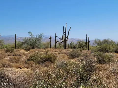 17 E Nnn E Gloria Ln #-, Rio Verde, AZ 85263