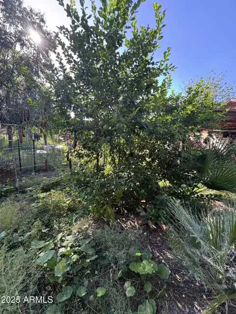 Exterior - 2245 W Hayward Ave, Phoenix, AZ 85021 photo 34 of 45