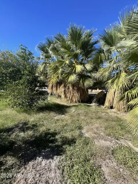 Other - 2245 W Hayward Ave, Phoenix, AZ 85021 photo 56 of 57