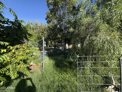 Exterior - 2245 W Hayward Ave, Phoenix, AZ 85021 photo 17 of 45