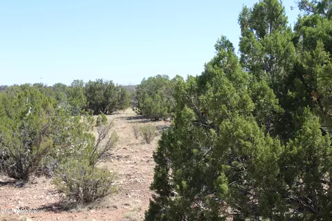 2122 Deeazinon Rd #*-*, Heber, AZ 85928