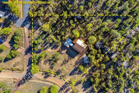 3684 Diamondback Dr, Overgaard, AZ 85933 photo 29
