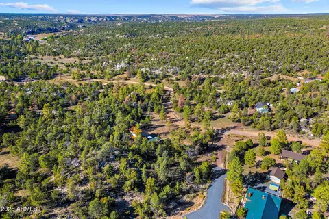 3684 Diamondback Dr, Overgaard, AZ 85933 photo 26