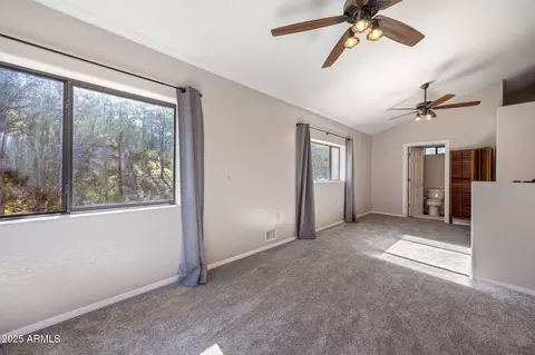 3684 Diamondback Dr, Overgaard, AZ 85933 photo 14