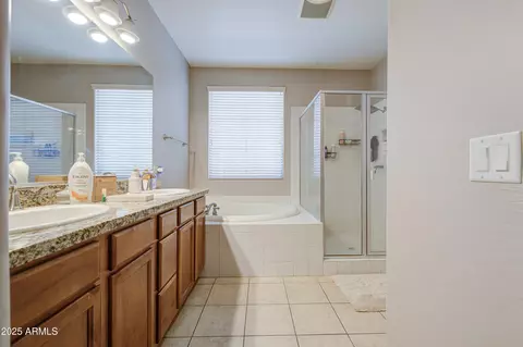 Bath - 3292 E Windsor Dr, Gilbert, AZ 85296 photo 5 of 7