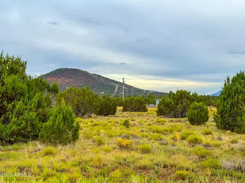 908 E Hoctor Rd #59, Williams, AZ 86046 photo 3