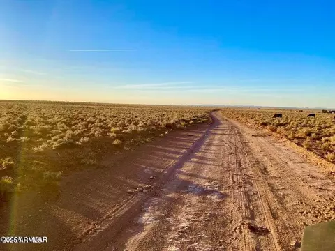 tbd Hodges Ln 3905 Acres -- #-, Holbrook, AZ 86025