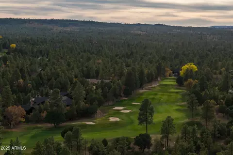 Other - 4240 W Sugar Pine Loop, Show Low, AZ 85901 photo 20 of 21