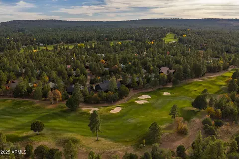 View/Area - 4240 W Sugar Pine Loop, Show Low, AZ 85901 photo 10 of 11
