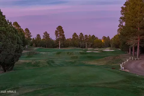 Other - 4240 W Sugar Pine Loop, Show Low, AZ 85901 photo 1 of 21