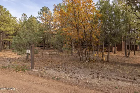 Other - 4240 W Sugar Pine Loop, Show Low, AZ 85901 photo 16 of 21