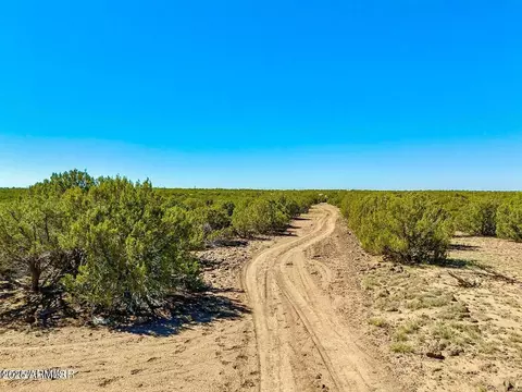128 Co Rd 8061 127 Acres -- #-, Concho, AZ 85924