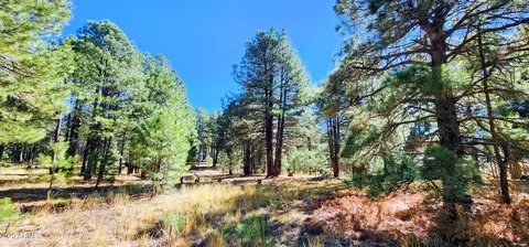 1958 Ferret Cir #260, Forest Lakes, AZ 85931