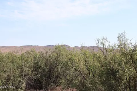 tbd E 095 E Antelope Rd #41, Pearce, AZ 85625 photo 2