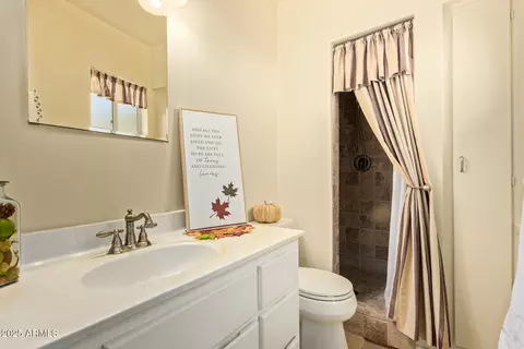 Bath - 120 S Sahuaro Dr, Gilbert, AZ 85233 photo 1 of 2