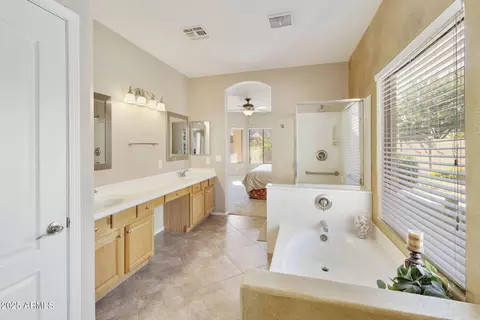 Bath - 10335 E Posada Ave, Mesa, AZ 85212 photo 2 of 5