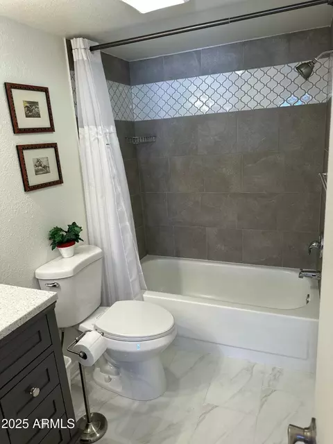 Bath - 30 E Brown Rd #2012, Mesa, AZ 85201 photo 5 of 6