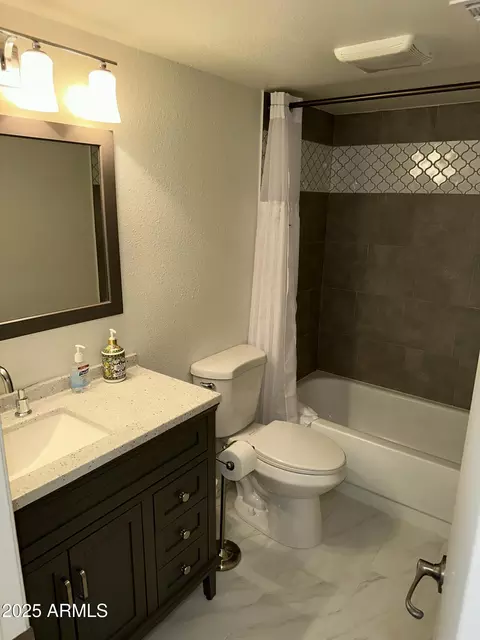 Bath - 30 E Brown Rd #2012, Mesa, AZ 85201 photo 1 of 6