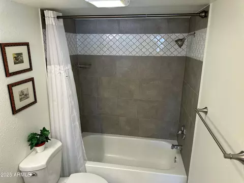 Bath - 30 E Brown Rd #2012, Mesa, AZ 85201 photo 3 of 6