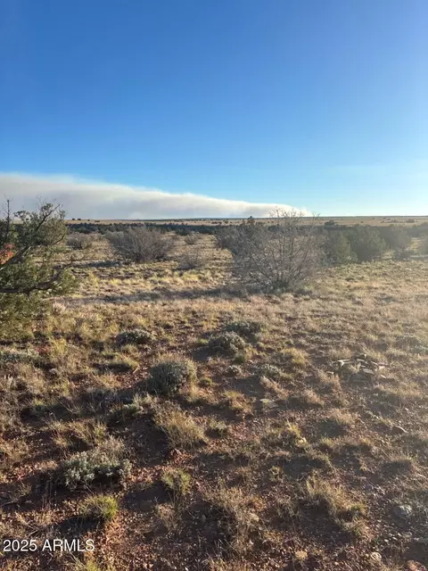 1565 Pumpkin Patch Rd, Heber, AZ 85928 photo 7