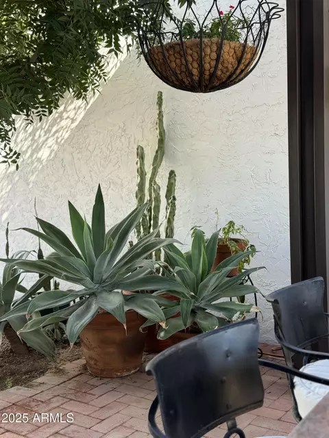 Exterior - 2022 E Bishop Dr, Tempe, AZ 85282 photo 7 of 11