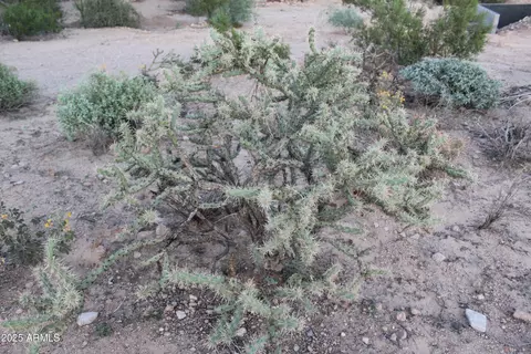 4905 N Delaware Dr #100-11-032D, Apache Junction, AZ 85120 photo 7