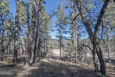 Other - 1103 E Ranch Rd, Payson, AZ 85541 photo 20 of 24