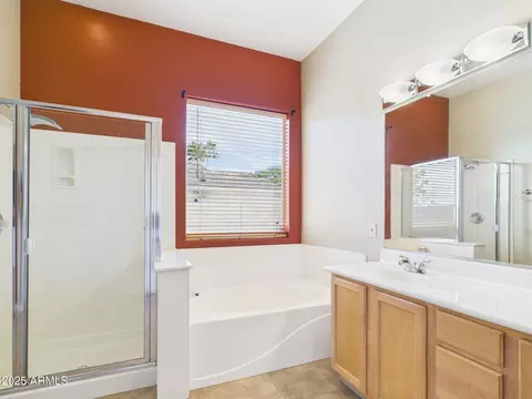 Bath - 3122 E Cotton Ln, Gilbert, AZ 85234 photo 4 of 4