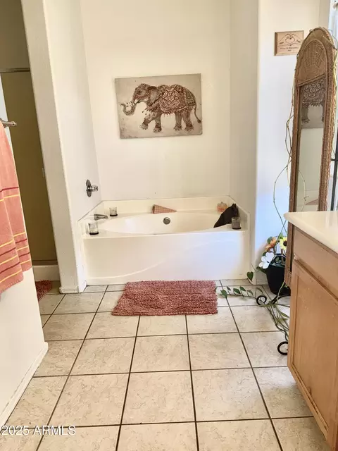Bath - 1309 E Beth Dr, Phoenix, AZ 85042 photo 2 of 4