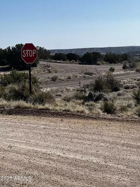 60 Short Ln #1, Concho, AZ 85924