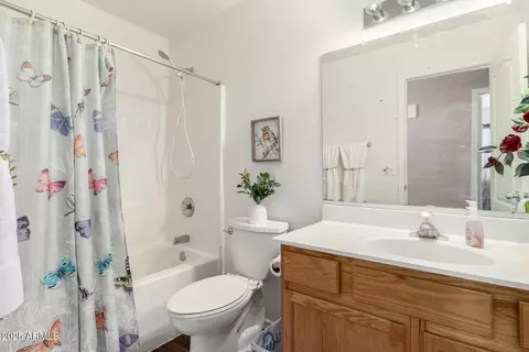 Bath - 825 W 15th Ln, Apache Junction, AZ 85120 photo 3 of 3