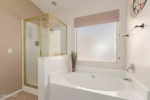 10238 E Osage Ave, Mesa, AZ 85212 photo 17