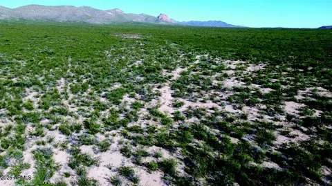 4 79 Acres La Deffensa Rd #167, Douglas, AZ 85607