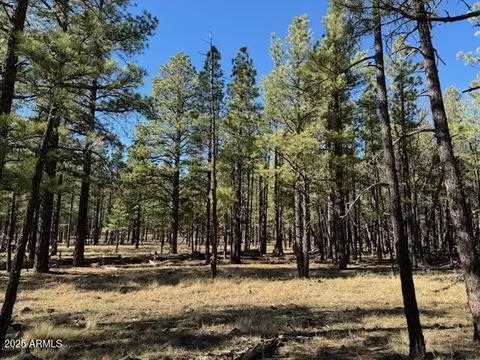 lot3 N L N Quintana Dr #-, Flagstaff, AZ 86001