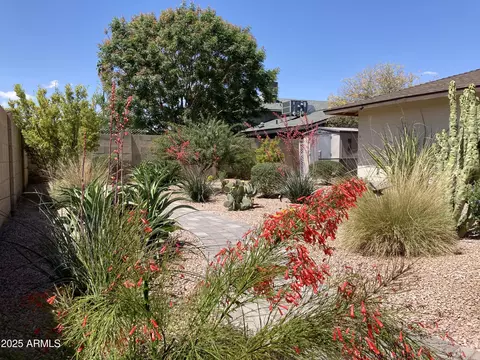 Exterior - 1019 E Watson Dr, Tempe, AZ 85283 photo 3 of 8
