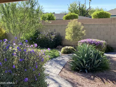 Exterior - 1019 E Watson Dr, Tempe, AZ 85283 photo 2 of 8