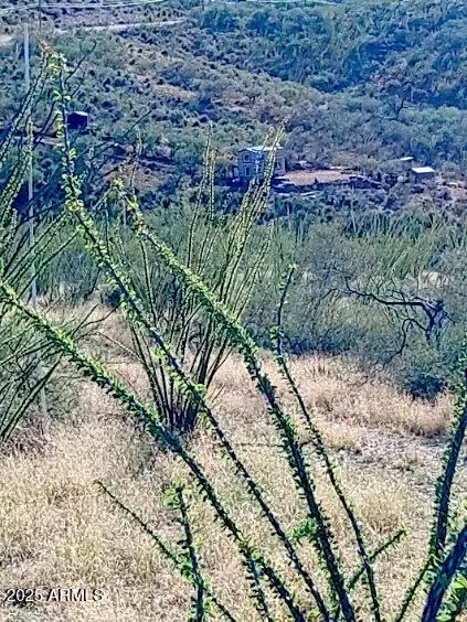16231 E Hillton Ranch Rd #-, Vail, AZ 85641 photo 4