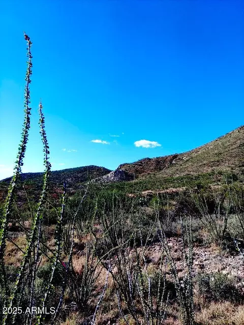 16231 E Hillton Ranch Rd #-, Vail, AZ 85641 photo 2
