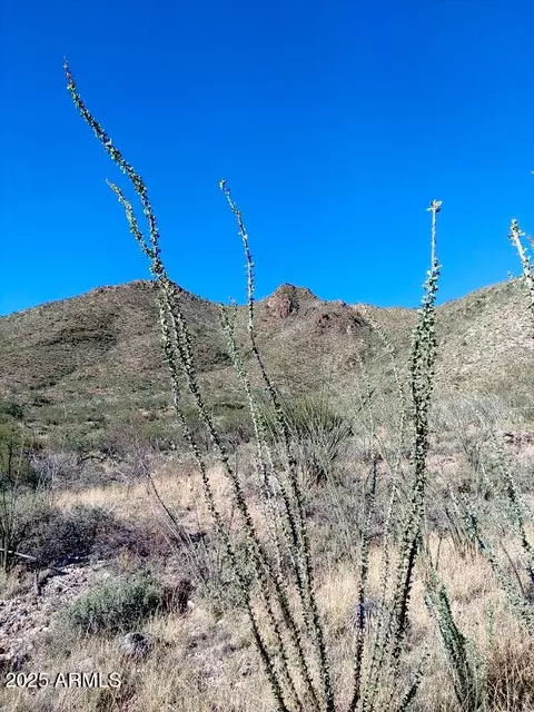 16231 E Hillton Ranch Rd #-, Vail, AZ 85641 photo 3