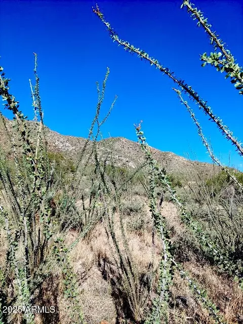 16231 E Hillton Ranch Rd #-, Vail, AZ 85641 photo 15
