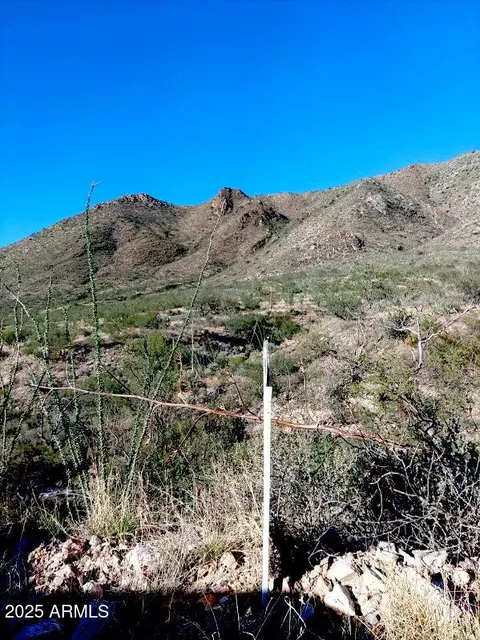 16231 E Hillton Ranch Rd #-, Vail, AZ 85641 photo 13